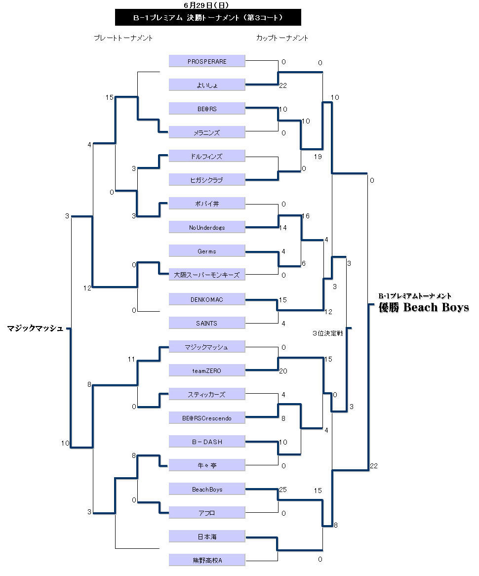 2008�r�[�`�t�b�g�{�[�� ���l���@B-1�v���~�A������
